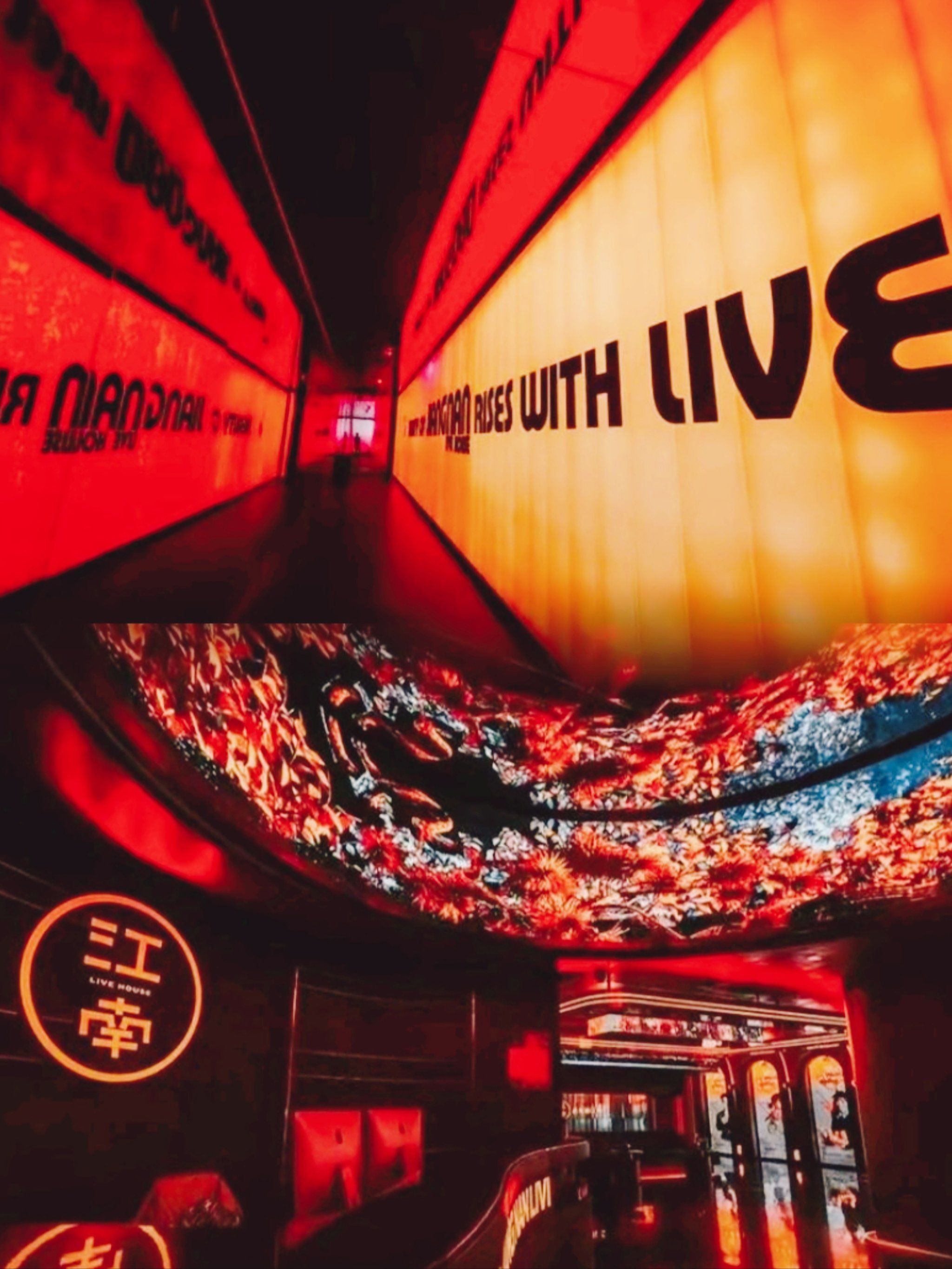 德州商务KTV最佳选择-齐河县ktv预订